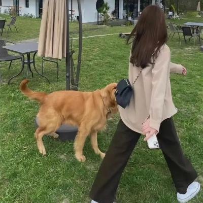 南瓜恶灵4:血债